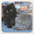 Pesquisar por aberto porta copos Gato