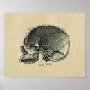 Pesquisar por anatomy pôsteres Anatomical