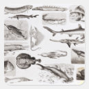 Pesquisar por biologia marinha adesivos Peixe