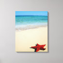 Pesquisar por estrela do mar impressão de canvas Oceano