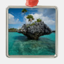 Pesquisar por fiji ornamentos Costa