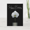 Pesquisar por buquê da orquídea Flor branca