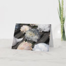 Pesquisar por escudos cartoes Conch