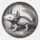 Pesquisar por história natural adesivos Natureza