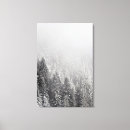 Pesquisar por congelado impressão de canvas Floresta