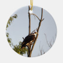 Pesquisar por ave ornamentos De natal