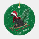 Pesquisar por sled ornamentos Fofofo