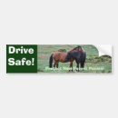 Pesquisar por selva adesivos carros Animais