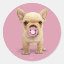 Pesquisar por pacifier adesivos Bonito