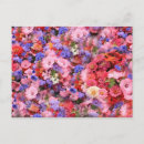 Pesquisar por violeta vermelha cartoes postais Flores