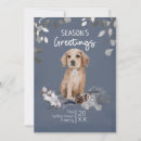 Pesquisar por labrador retriever cartoes Amante de cachorro