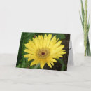 Pesquisar por lovely cartoes postais Mother