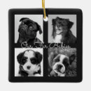 Pesquisar por animais ornamentos Cães