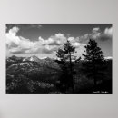 Pesquisar por ansel adams fotografia Árvores