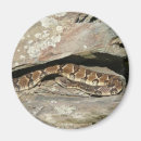 Pesquisar por o cascavel imas Natureza