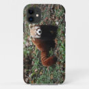 Pesquisar por panda capas Filhote