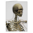 Pesquisar por osso temporal Ossos temporais