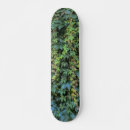 Pesquisar por videira skates Natureza