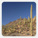 Pesquisar por tucson adesivos Natureza
