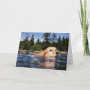 Pesquisar por swimming cartoes Ocean