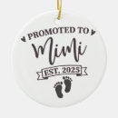 Pesquisar por mimi ornamentos Engraçado