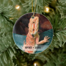 Pesquisar por lagartos ornamentos Réptil