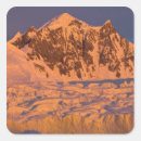 Pesquisar por glacial adesivos Congelado