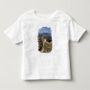 Pesquisar por sete maravilhas do mundo camisetas Antigo