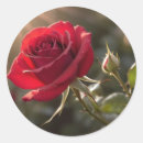 Pesquisar por símbolo para o amor adesivos Bride
