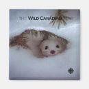 Pesquisar por canada imas Documentário