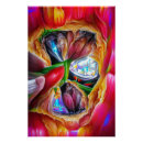 Pesquisar por vermelho da tulipa pósteres pôsteres Abstrato