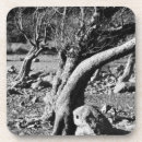 Pesquisar por vento porta copos Natureza