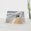 Pesquisar por cute polar bear cartoes Bears