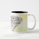 Pesquisar por iguana canecas Natureza