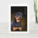 Pesquisar por cão rottweiler cartoes Malandra