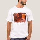 Pesquisar por arenito camisetas Eua