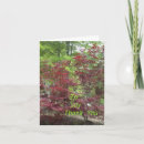 Pesquisar por para agradecer cartoes Inspiração