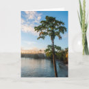 Pesquisar por fiji cartoes Coastline