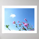 Pesquisar por flores cor de rosa na árvore pôsteres Fotografia