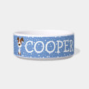 Pesquisar por jack russell terrier Fofofo
