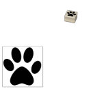Pesquisar por cão simples Gato