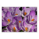 Pesquisar por crocs cartoes Legal