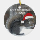Pesquisar por esquilo natal ornamentos De natal engraçados