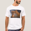 Pesquisar por cratera camisetas Lava