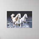 Pesquisar por cavalo branco impressão de canvas Animais