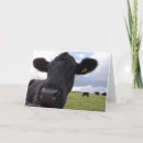 Pesquisar por farm animals cartoes Humor