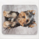 Pesquisar por filhote cachorro yorkshire terrier eletronicos Adorável