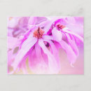 Pesquisar por flores bonitas cartoes postais Rosa