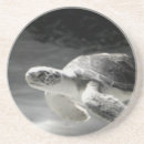 Pesquisar por turtle porta copos Tartaruga marinha