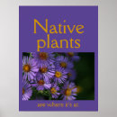 Pesquisar por planta nativa pôsteres Natureza